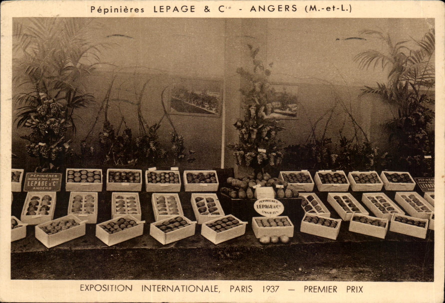 CPA Pepinieres Lepage Angers Exposition Internationale Paris 1937 