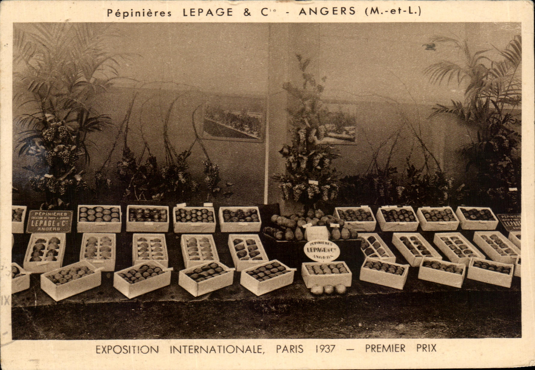 CPA Pepinieres Angers Exposition Internationale Paris 1937 