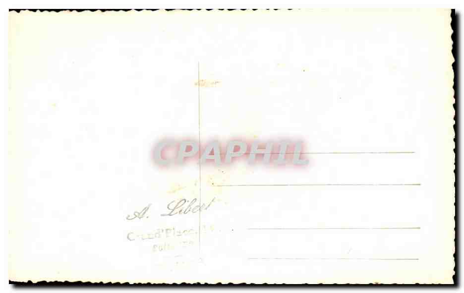 CARTE PHOTO chien enfant et grand mere — Rückseite