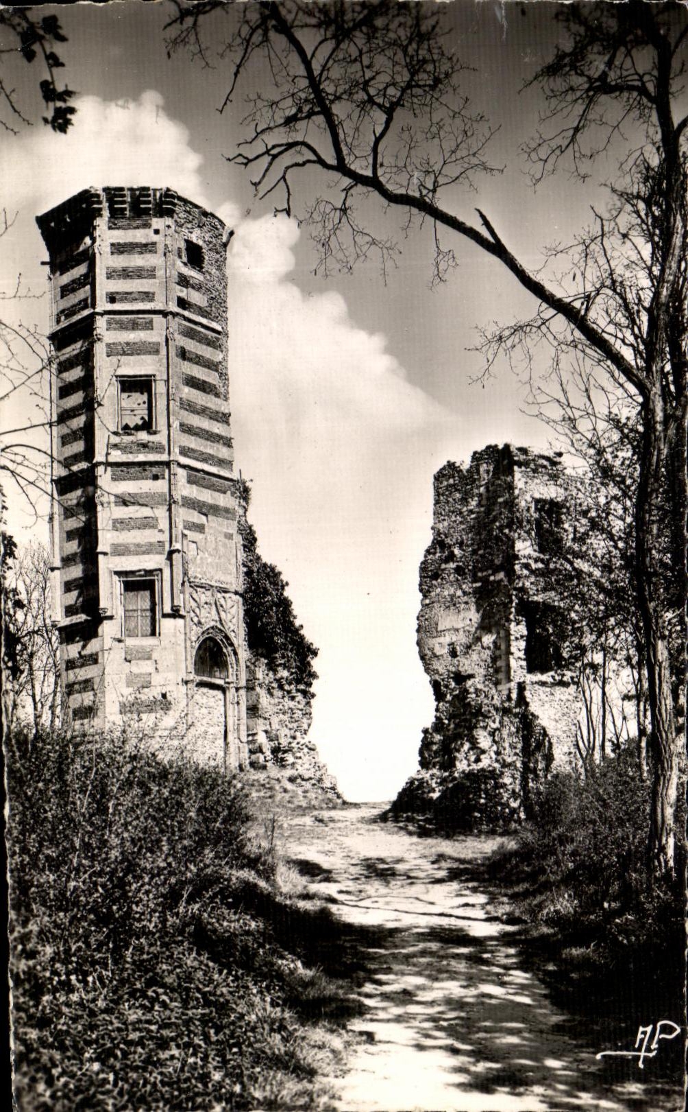 Montfort-l'Amaury — La Torre de Ana de Bretaña — Ed. A.P. (525)