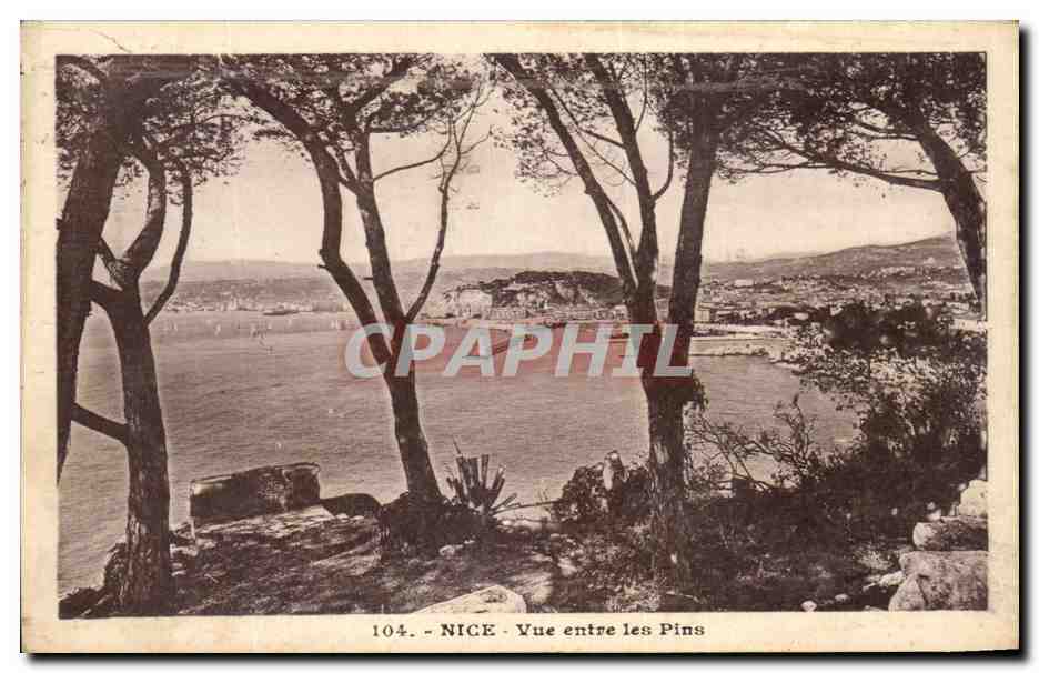 CPA Nice Vue Entre Les Pins