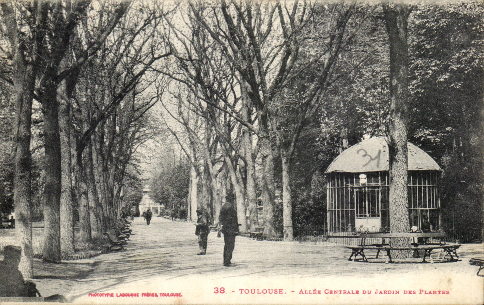 Toulouse - Allée Centrale du Jardin des Plantes — Phototypie Labouche Frères, Toulouse, n°38