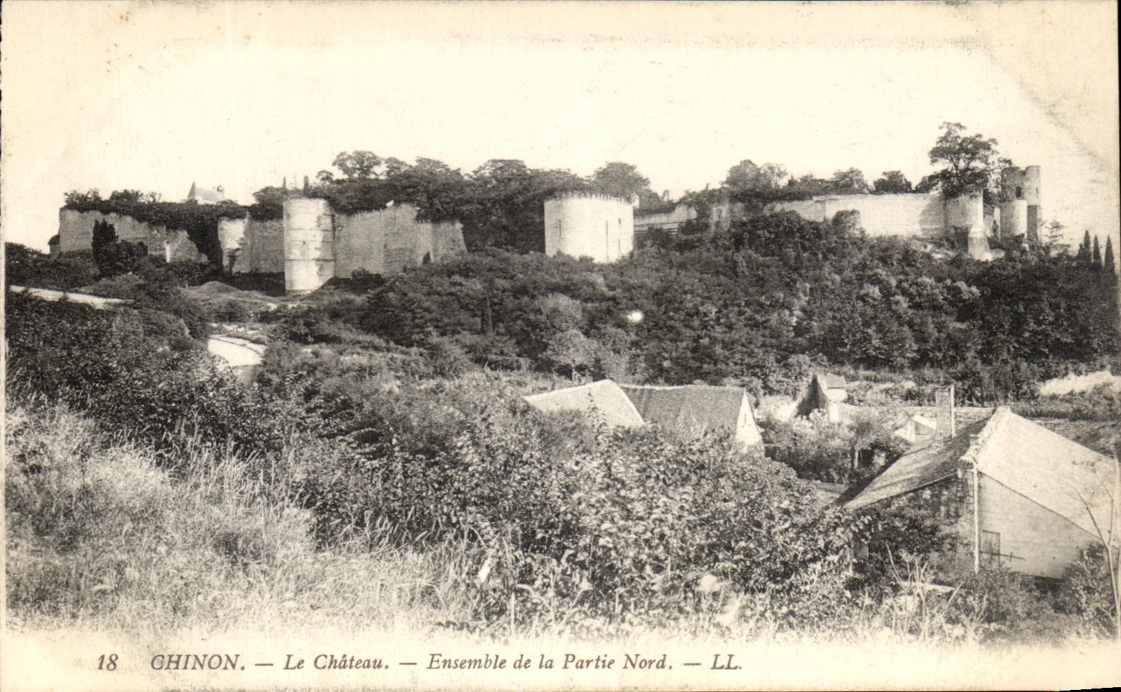 CPA Chinon Le Chateau Ensemble de la Partie Nord