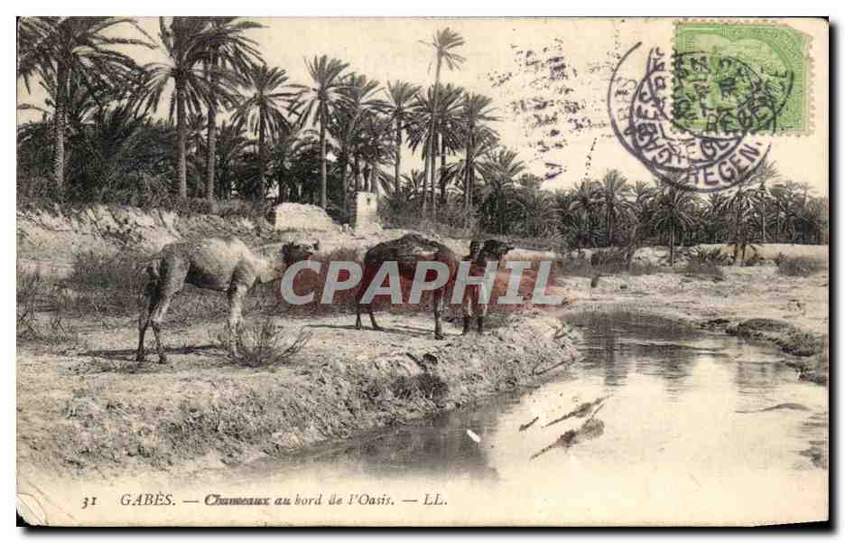 CPA Gabes chaneaux au Bord de I'Oasis Tunisie 