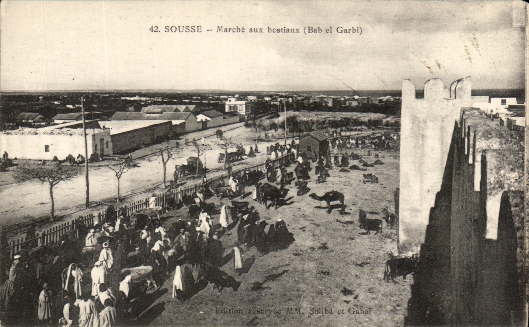 Sousse — Marché aux bestiaux (Bab el Garbi) — Édition réservée MM. Saliba et Gabat