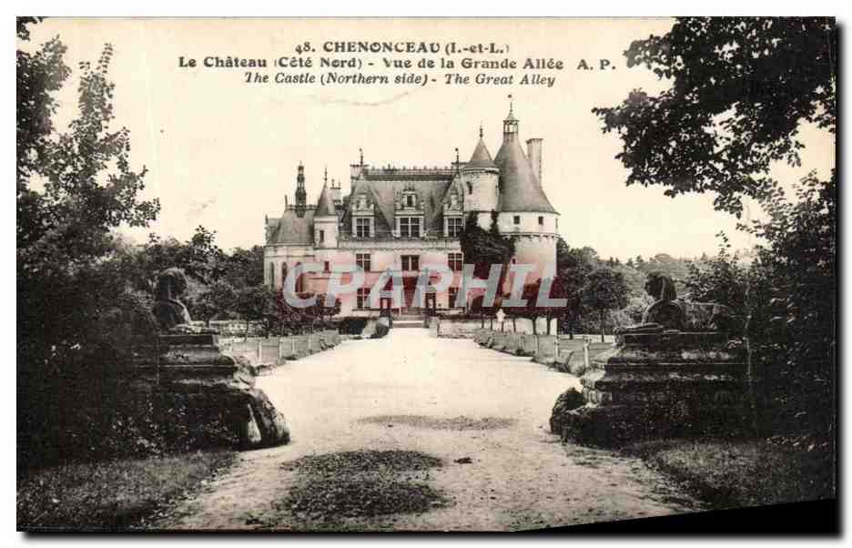 CPA Chenonceaux Le Chateau Vue De La Grande Allee