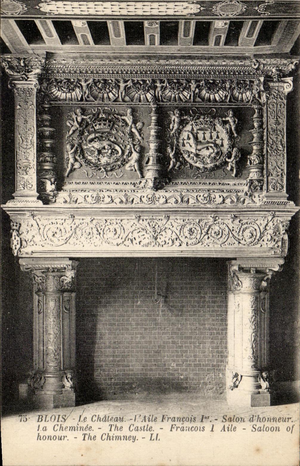 CPA Blois La Chateau l'Aile Francois 1er Salon d'honneur la Cheminee
