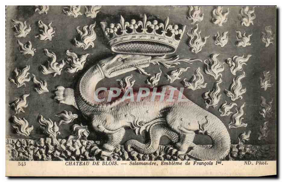 CPA Chateau De Blois Salamandre Embleme de Francois 1er