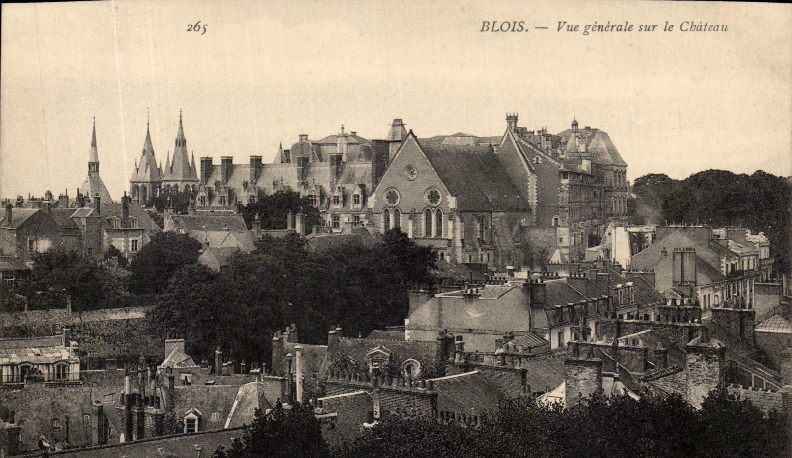 CPA Blois Vue Generale sur le Chateau