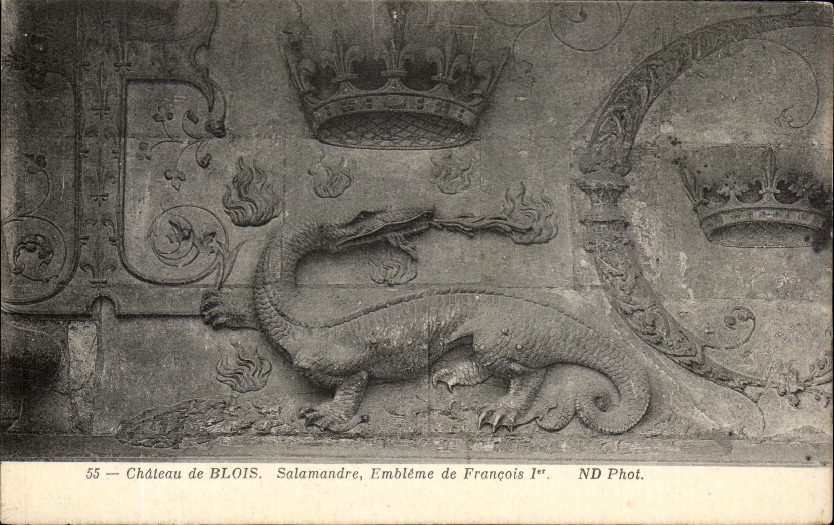 Château de Blois — Salamandre, emblème de François Ier — ND Phot.