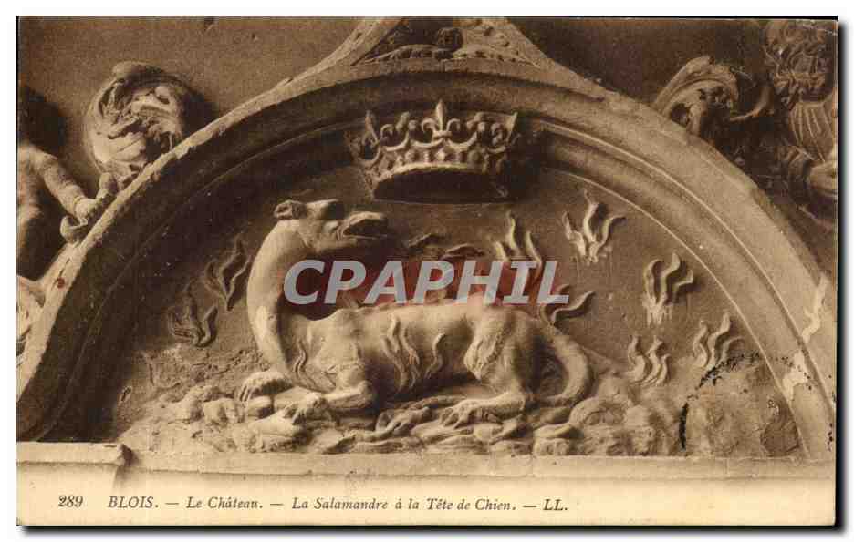 CPA Blois Le Chateau La Salamandre a la Tete de Chien