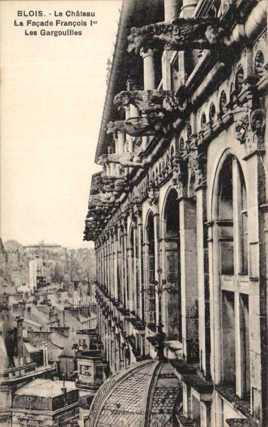 CPA Blois Le Chateau La Facade Francois 1er Les Gargouilles
