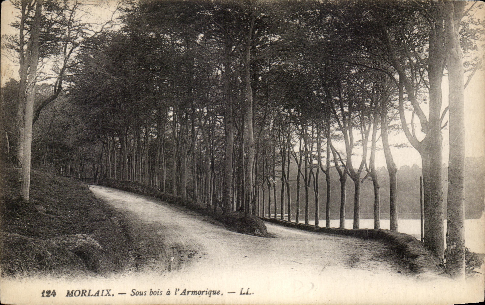 CPA Morlaix Sous Bois a L'Armorique