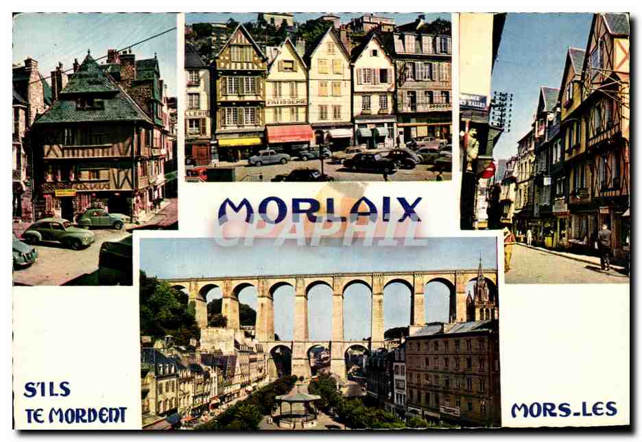 CPM Morlaix S'Ils Te Mordent Mors Les