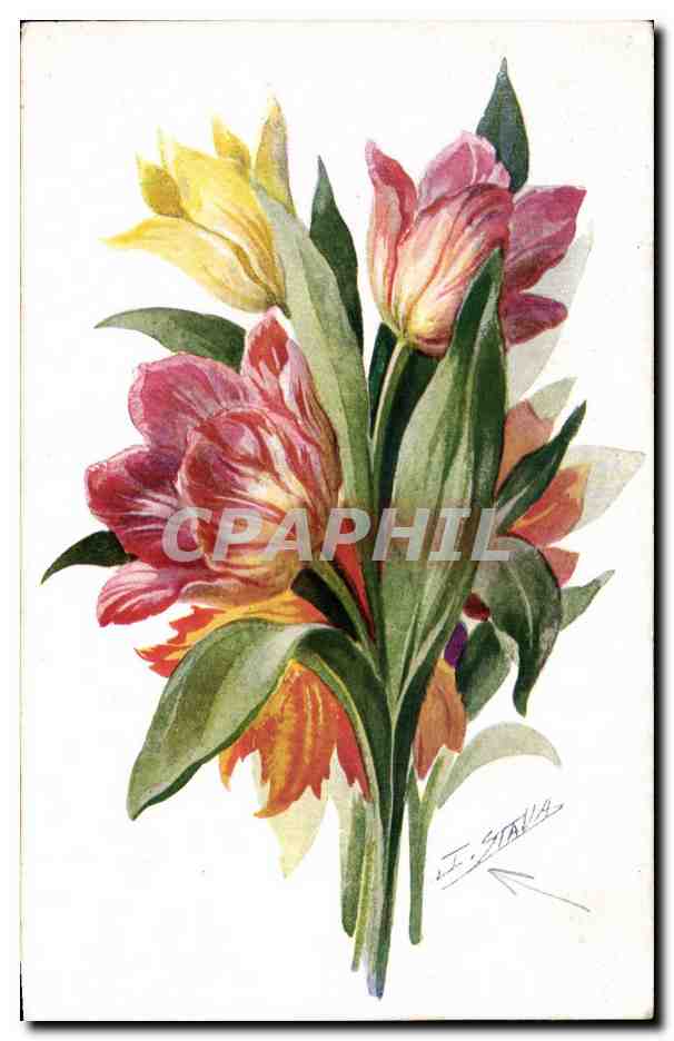 CPA Fantaisie Fleurs Tulipe Tulip Tulipano Tulipa