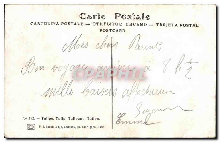CPA Fantaisie Fleurs Tulipe Tulip Tulipano Tulipa — Rückseite