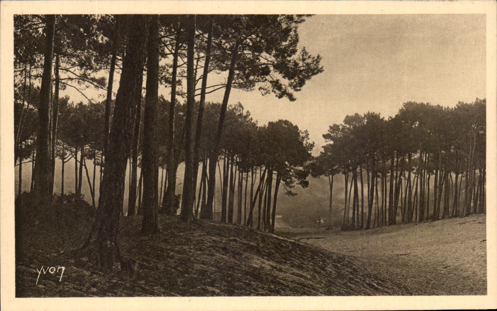 CPA Arcachon Les Grandes Dunes de la Ville d'Hiver
