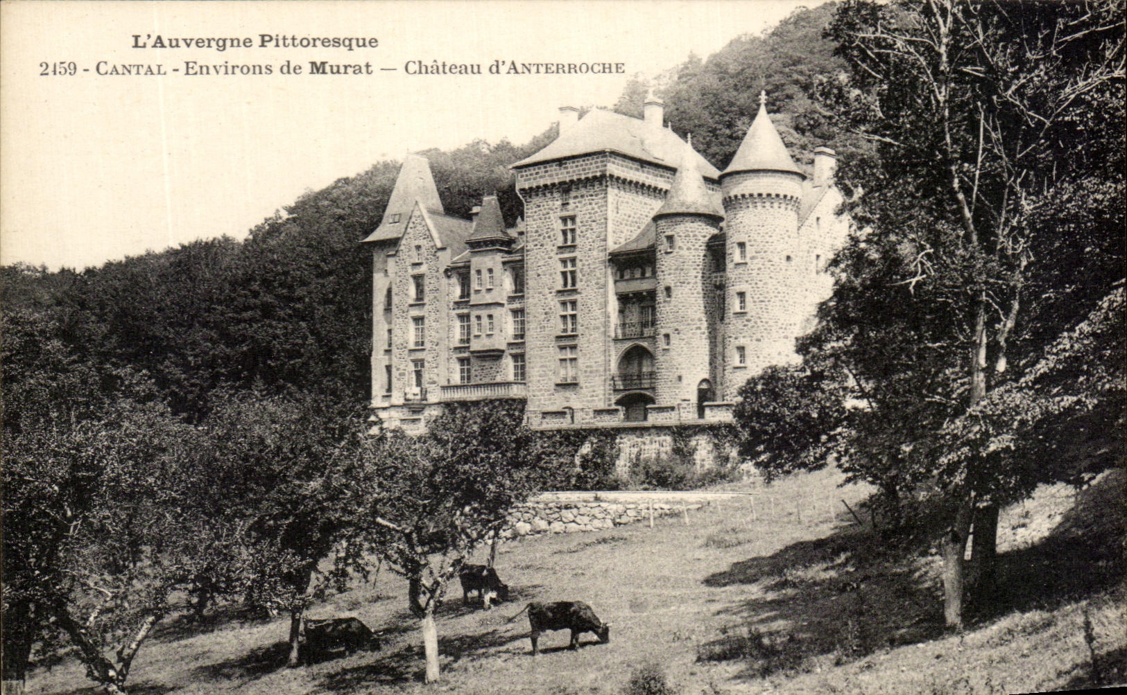 CPA L'Auvergne Pittoresque Cantal Environs de Murat Chateau d'Anterroche
