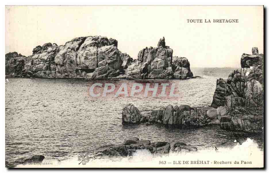 Ile de Bréhat - Rochers du Paon — Toute la Bretagne, série 563, éditeur G. De Luspinasse