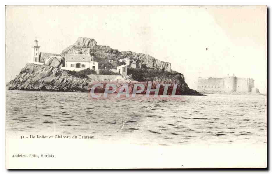 CPA Ile Loiiet et Chateau du Taureau