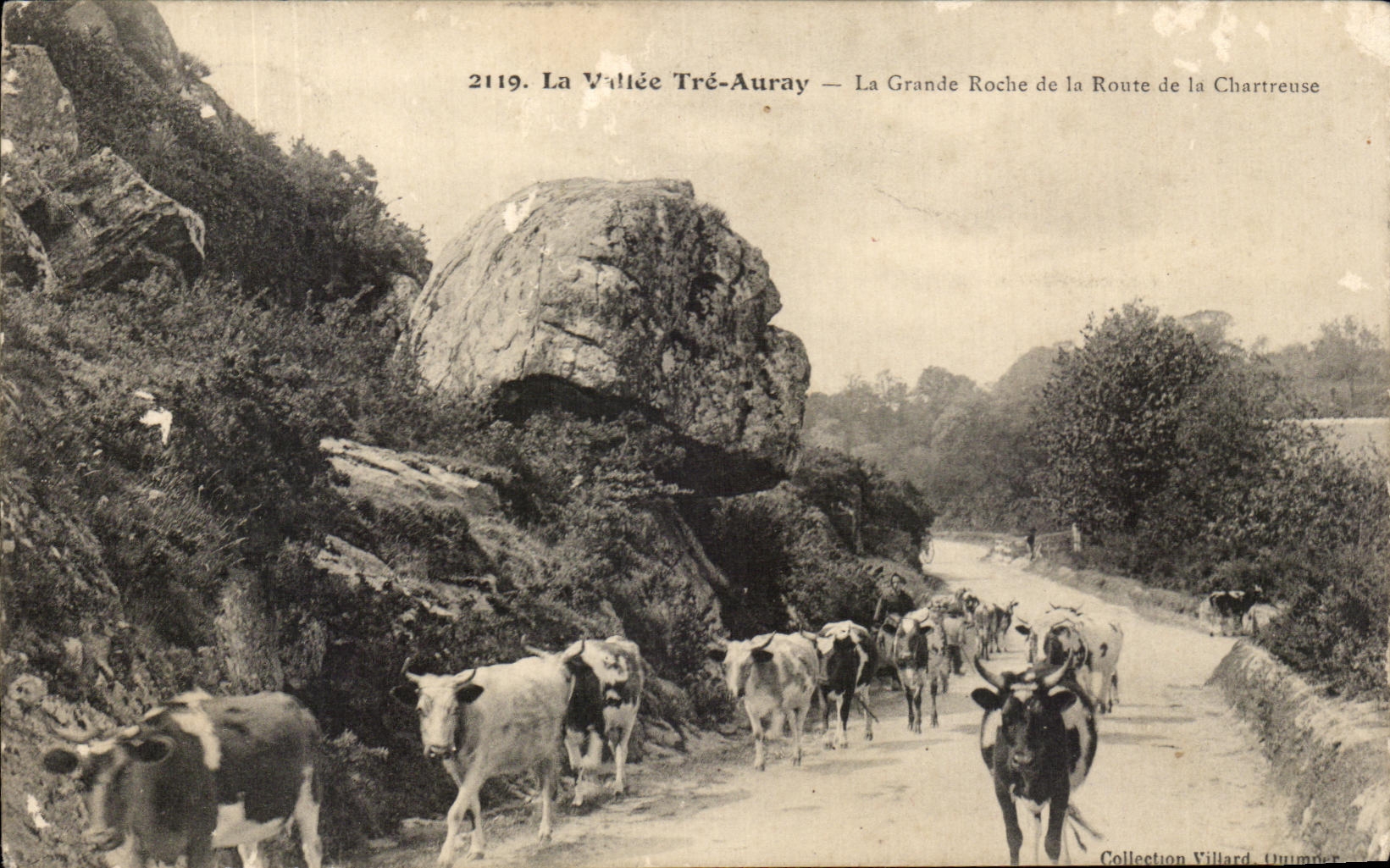 CPA La Vallee Tre Auray La Grande Roche de la Route de la Chartreuse Vaches