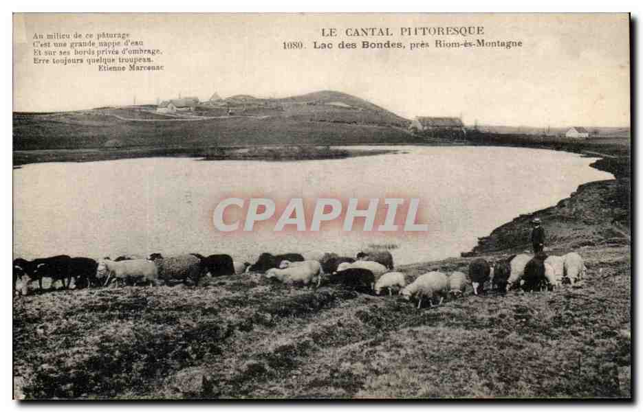 CPA Le Cantal Pittoresque Lac des Bondes Pres Riom es Montagne Moutons 
