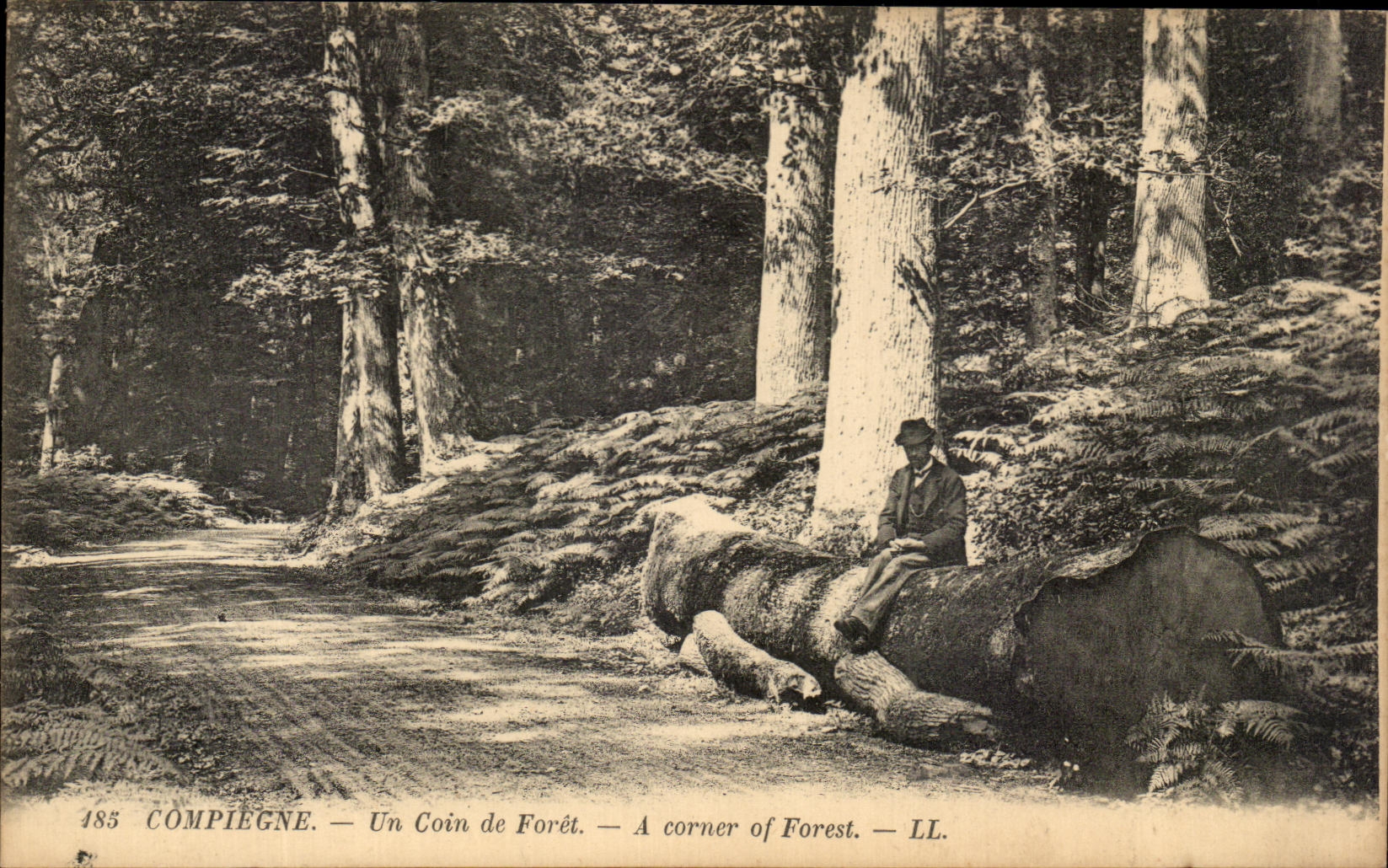 Compiègne — Un Coin de Forêt — LL. — n° 185