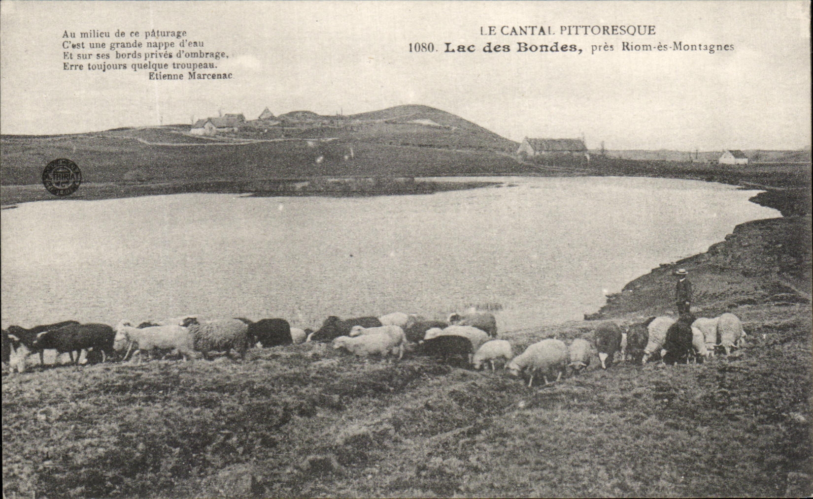 CPA Le Cantal Pittoresque Lac Des Bondes Pres Riom Es Montagnes Moutons 