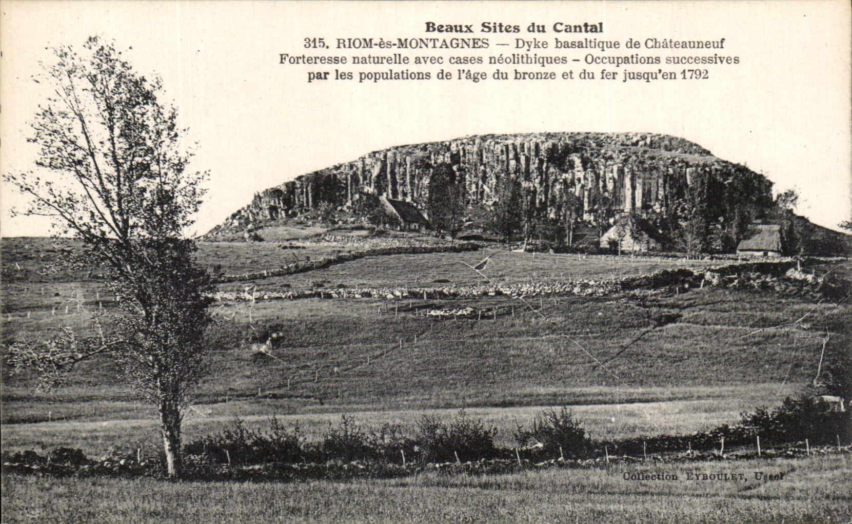 CPA Beaux Sites Du Cantal Riom Es Montagnes Dyke Basaltique De Chateauneuf