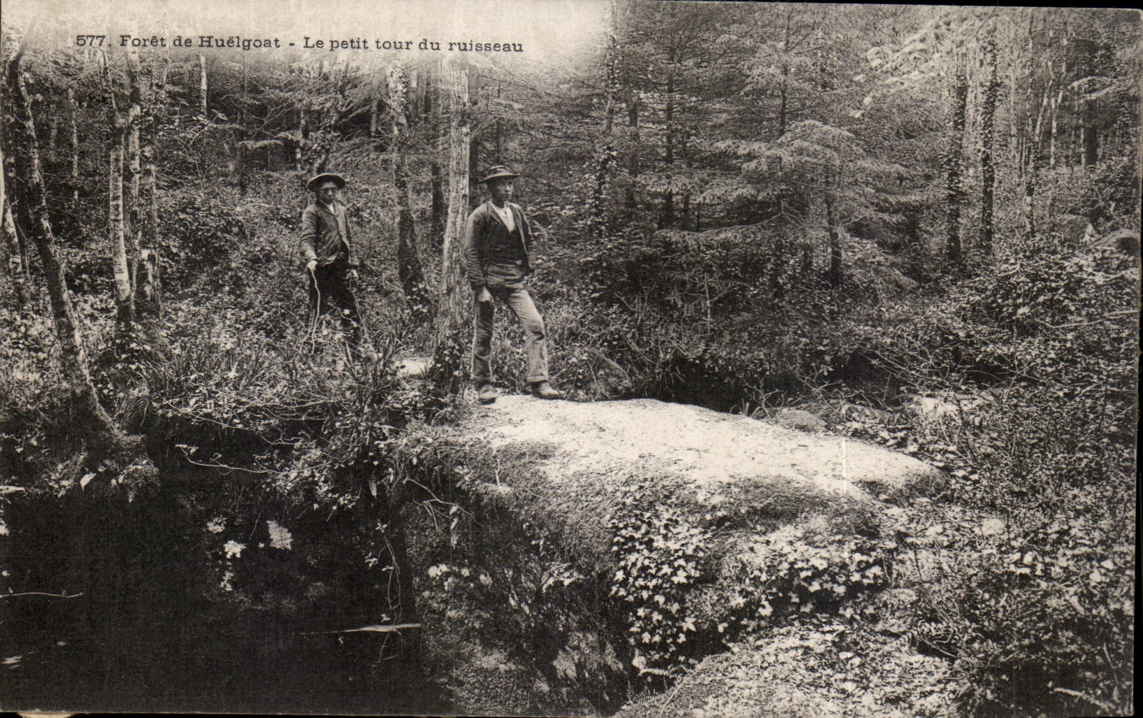 CPA Foret de Huelgoat Le Petit tour du ruisseau