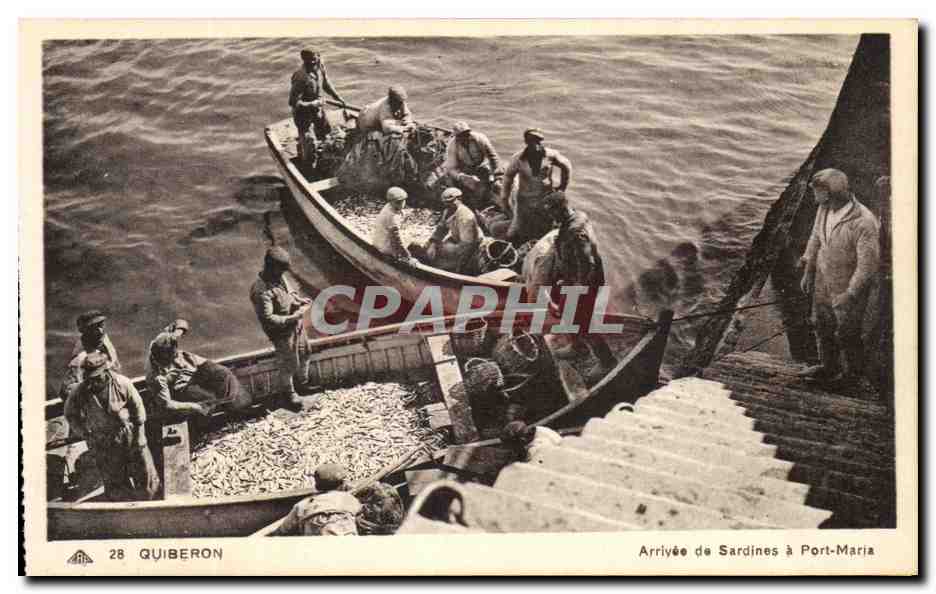 Arrivée de Sardines à Port-Maria — Quiberon — Éditeur : Strasssour-Geniltilienne