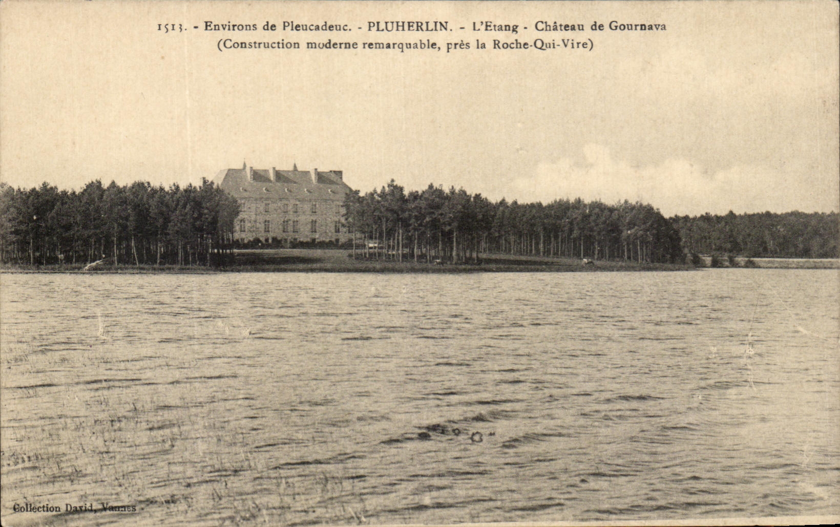 CPA Environs de Pleucadeux Pluherlin L'Etang Chateau de Gournava pres la Roche qui vire 