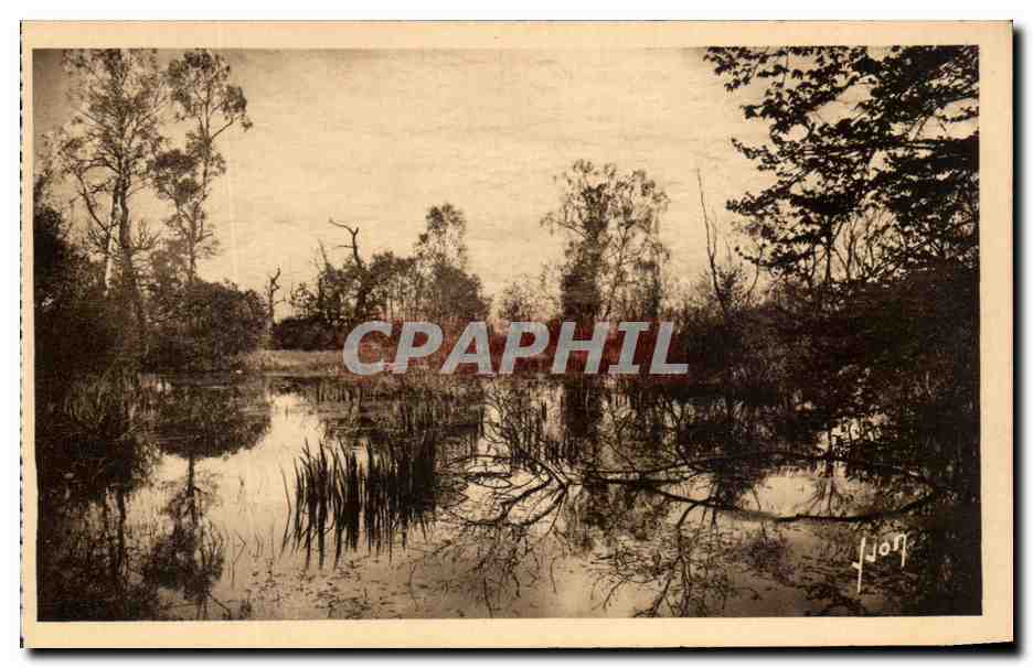 Fontainebleau (Seine-et-Marne) — La Selva - La Fuente de las Hadas — Les Éditions d'Art Yvon, París