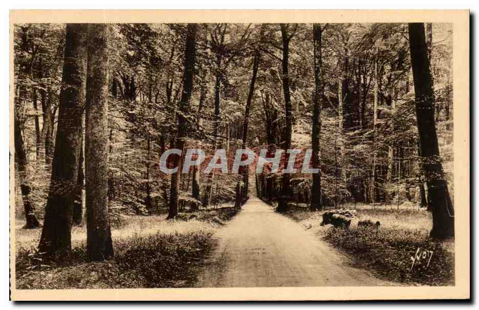 Foresta di Fontainebleau — Ronde di Barbizon — Edizioni d'Arte Yvon
