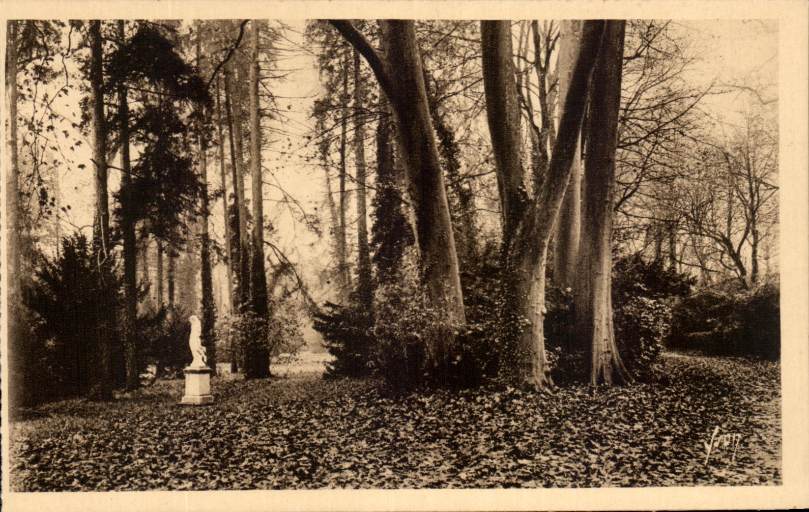 Fontainebleau (Seine-et-Marne) — Giardini del Palazzo - Via degli Platani — Edizioni d'Arte Yvetot
