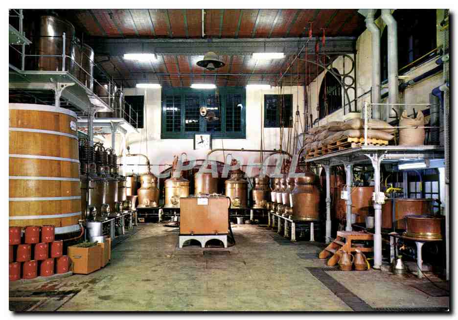CPM La Benedictine A Fecamp Le Laboratoire