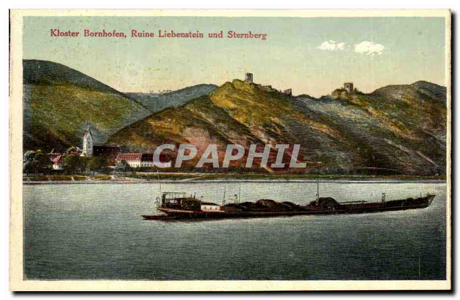 CPA Kloster Bornhofen Ruine Liebenstein und Sternberg Bateau