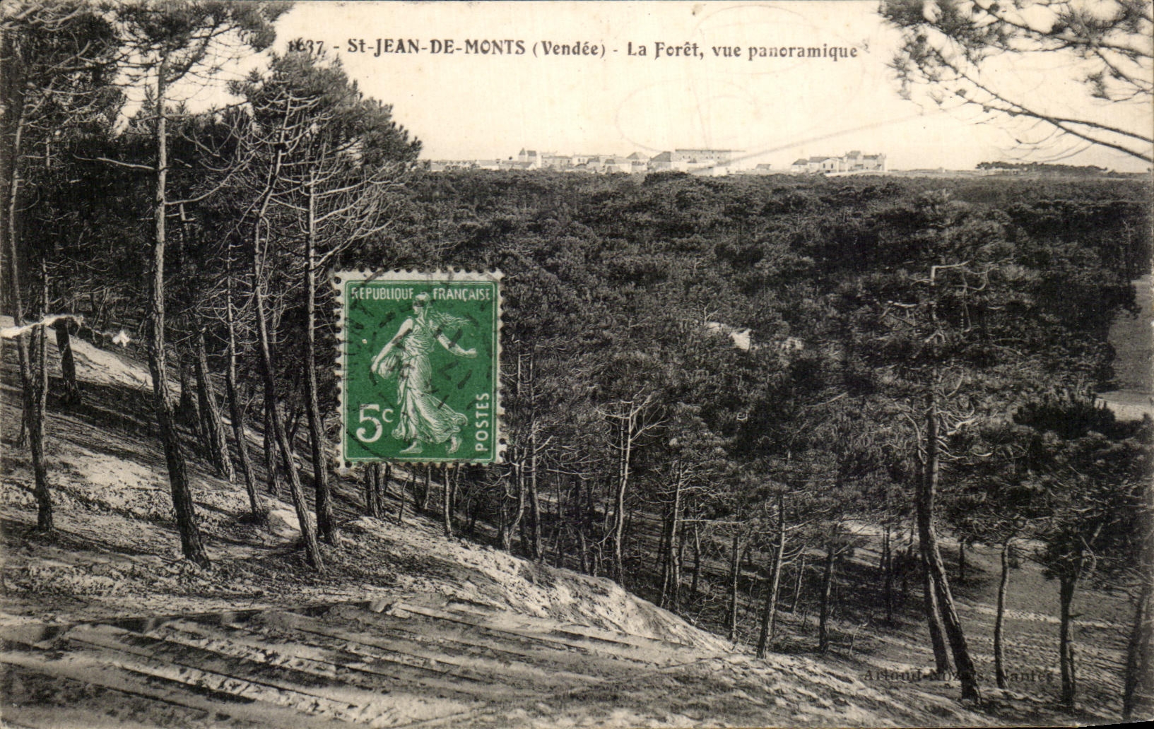 CPA St jean De Monts La Foret vue Panoramique