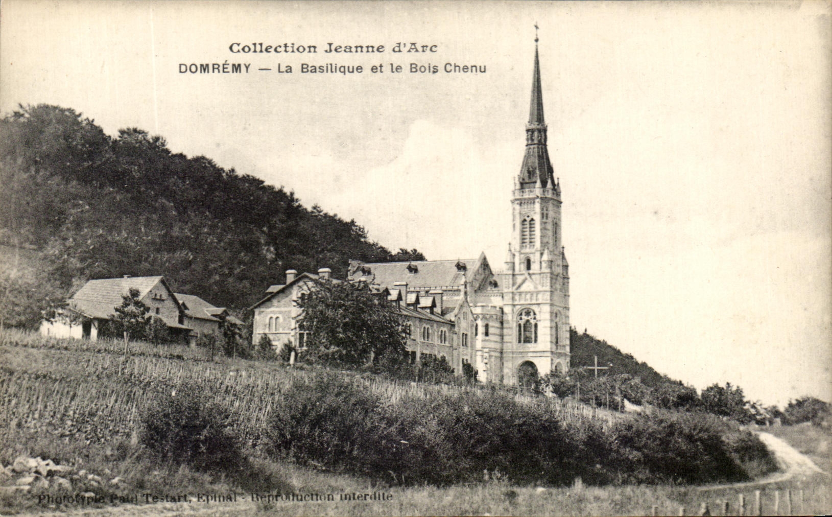 Domrémy — La Basilique et le Bois Chenu — Phototype Paul Testart, Epinal