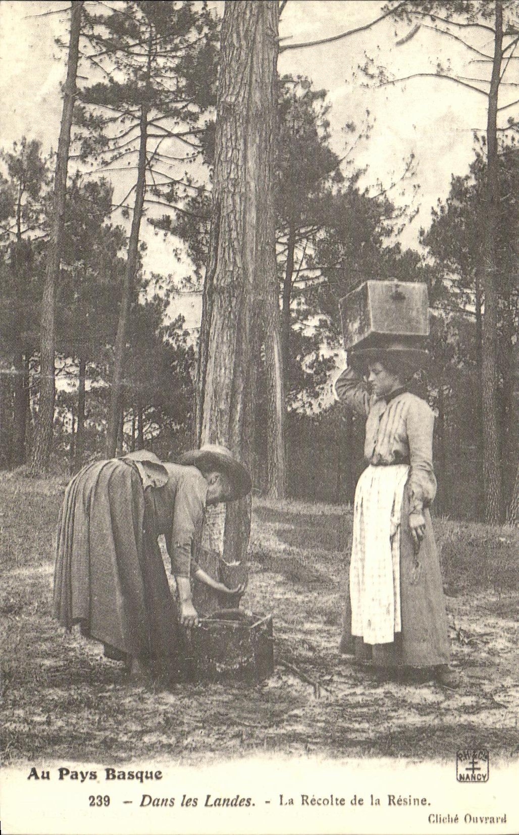 REPRO Au Pays Basque Dans Les Landes La Roches De La Resine Folklore Costume
