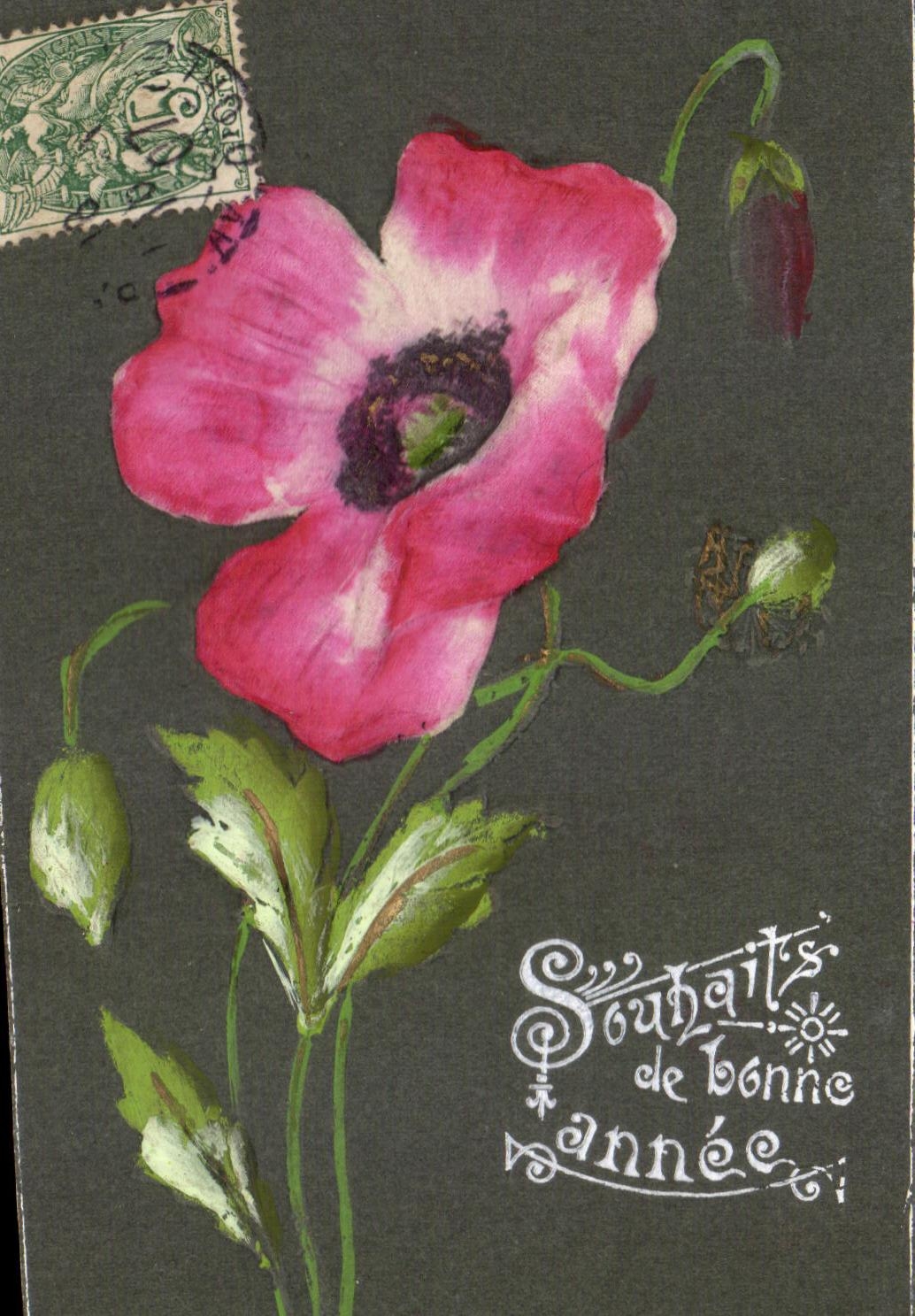 Fleur rose — Souhaits de bonne année — éditeur non visible