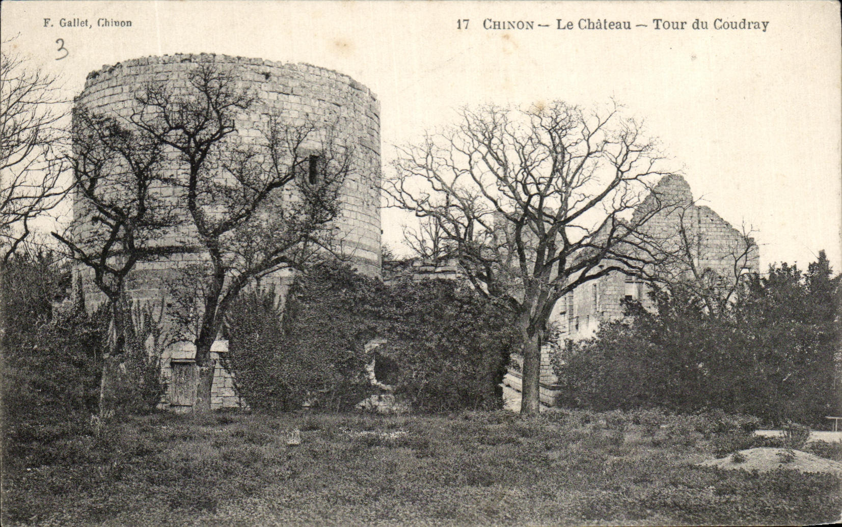 CPA Chinon Le Chateau Tour du Coudray