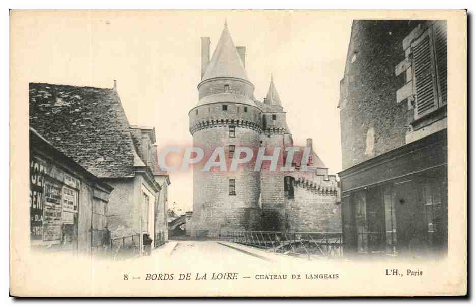 CPA Bords De La Loire Chateau de Langeais