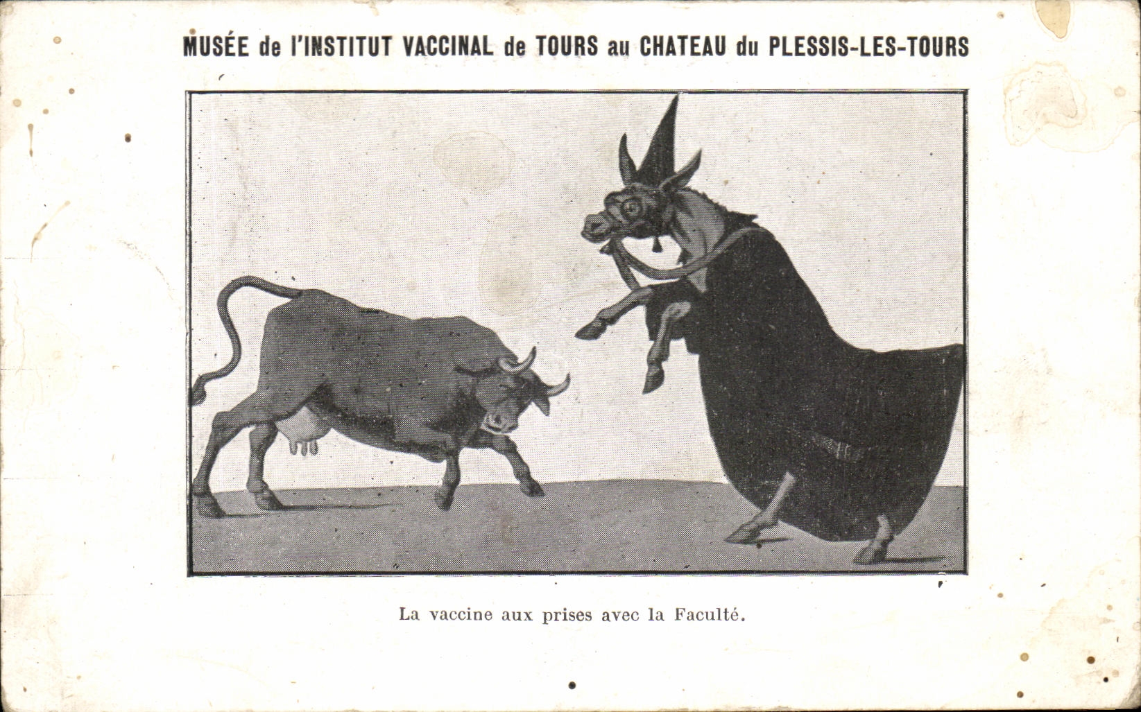 CPA Musee de l'Institut Vaccinal de Tours au Chateu du Plessis les Tours Vache Cheval 