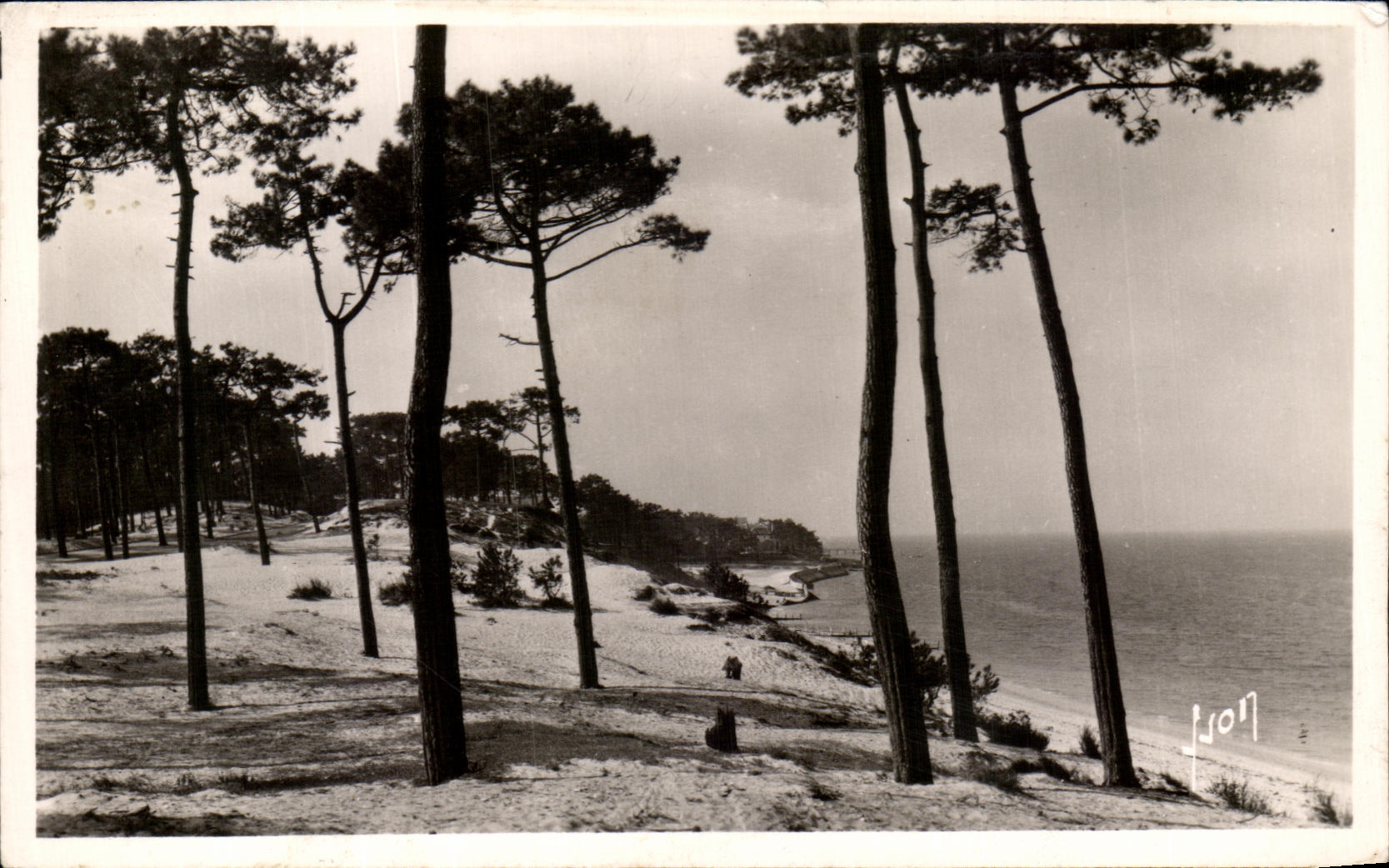 Le Moulleau-Arcachon — Le Parc des Abatilles et vue sur les passes du Bassin — Les Editions Art, Paris