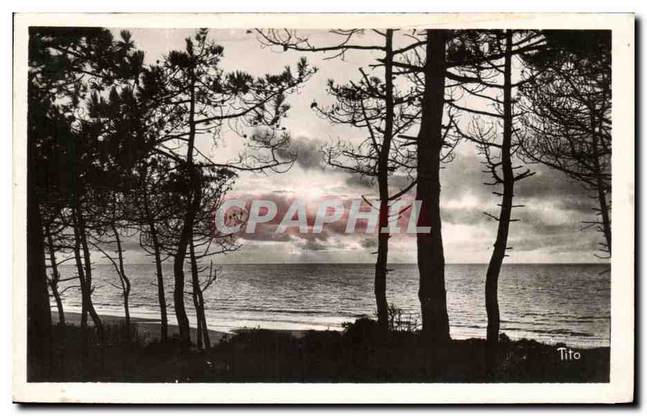 Lacanau - Océan — Coucher de Soleil à travers les Pins — Éditions TITO
