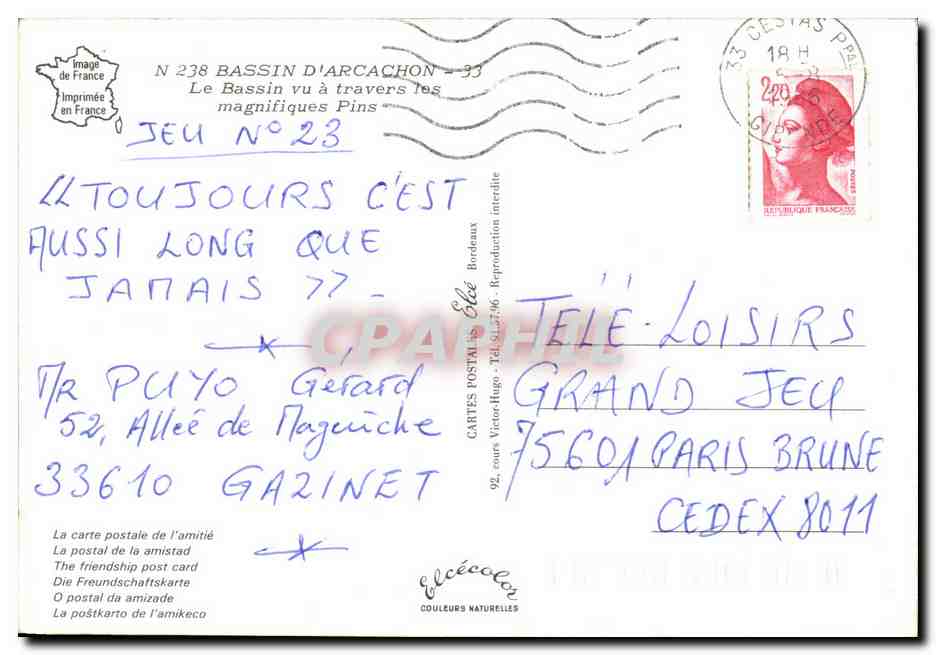 Bassin d'Arcachon — vu à travers les pins — Elcé — Reverso