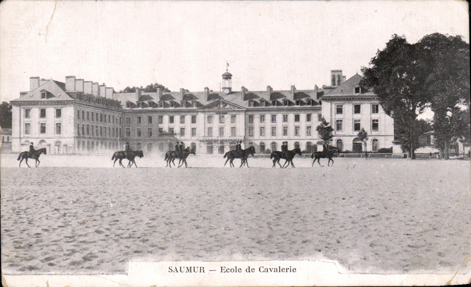 CPA Saumur Ecole De Calvalerie Cheval Militaria