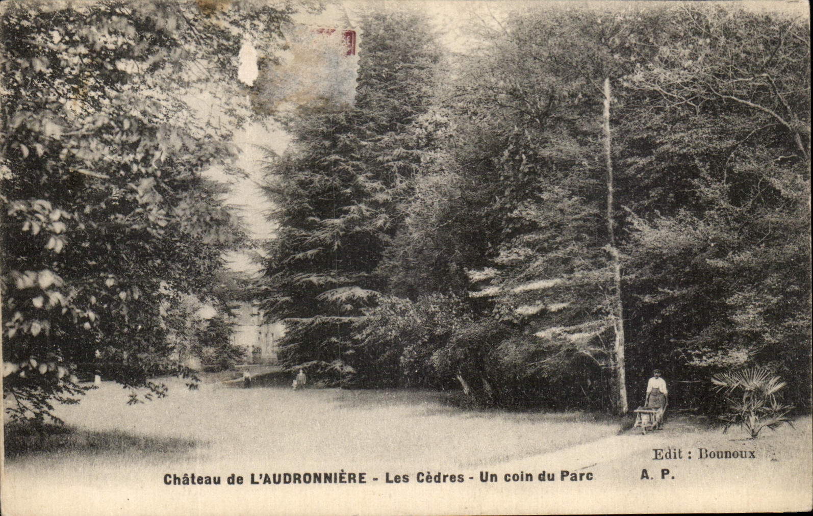 CPA Chateau de L'Audronniere Les Cedres Un coin du Parc Jardinier