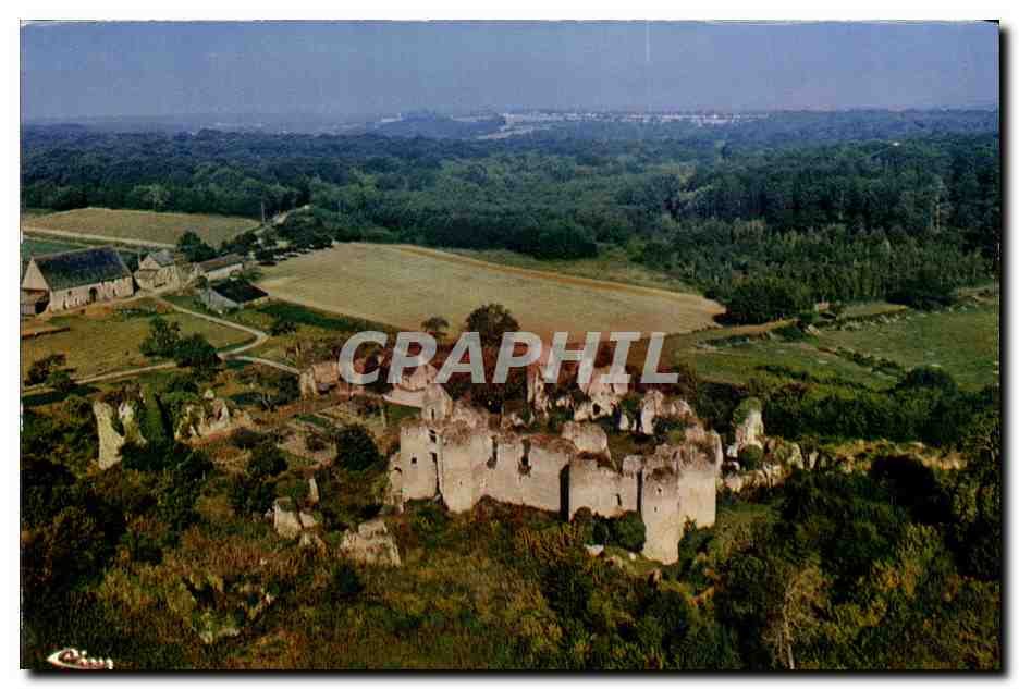 CPM Chateau la Valliere Chateau de vaujours Vue aerienne